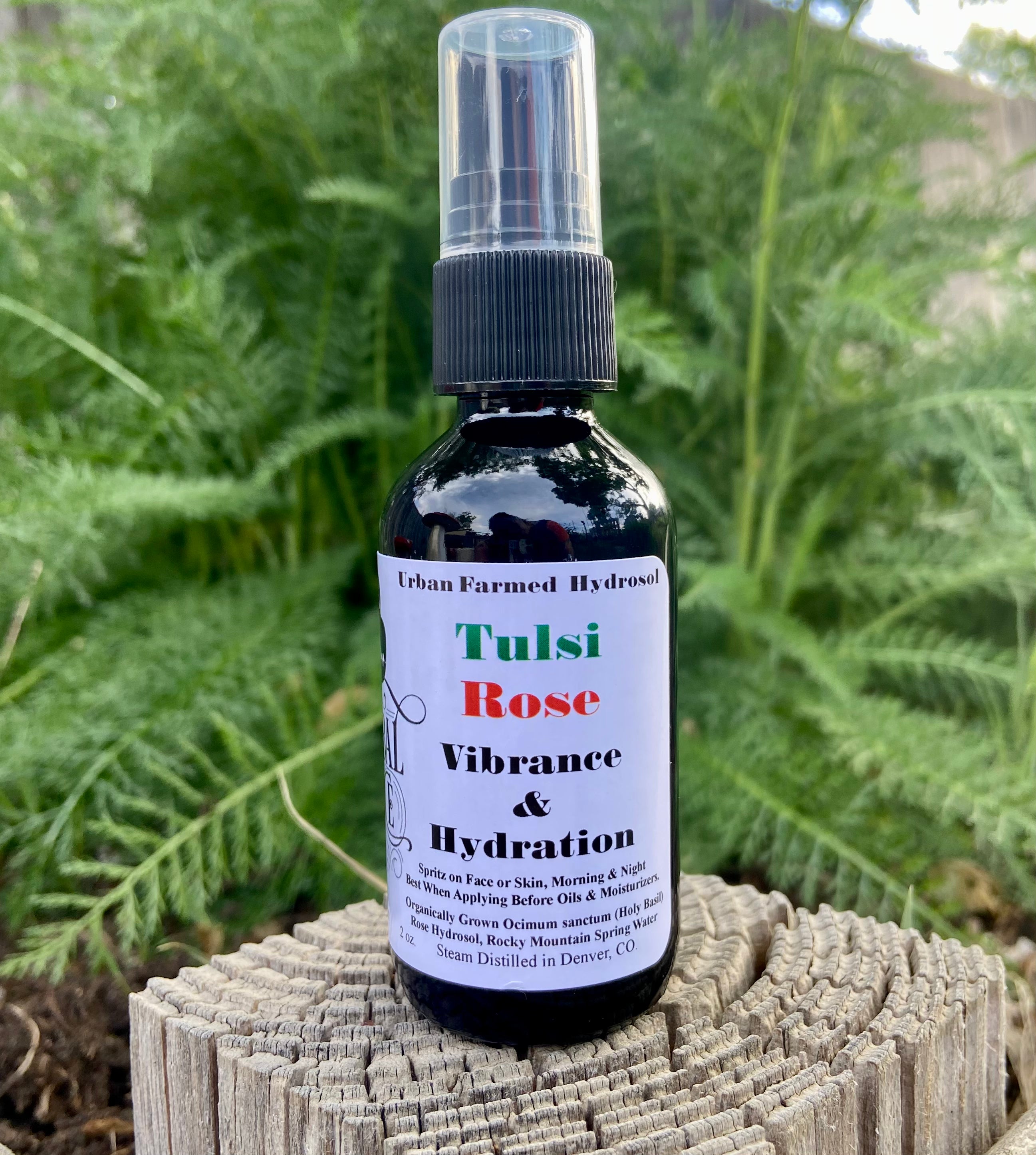 Tulsi Rose