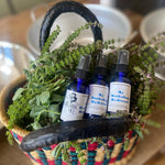 Herbalism Workshop