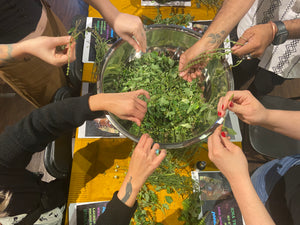 Herbalism Workshop